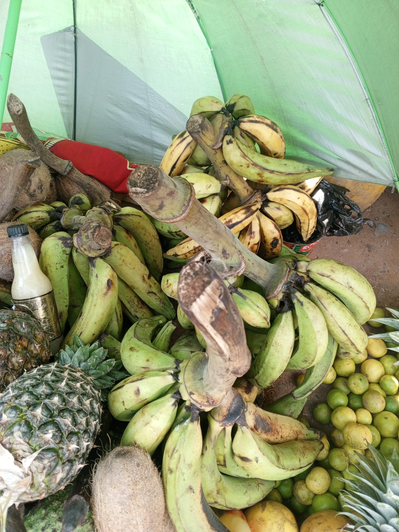 Farm Produce